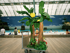 © KEYSTONE / Magnum Photos / Martin Parr