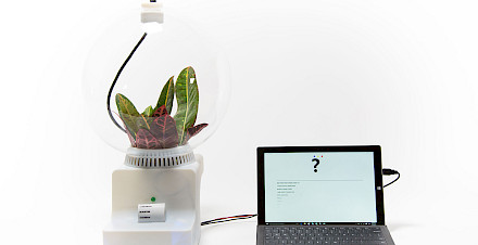 Plants are more than just dead matter