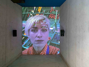 Pipilotti Rist in der Bechtler Stiftung