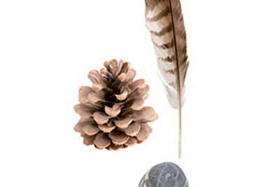 Das Naturfundbüro