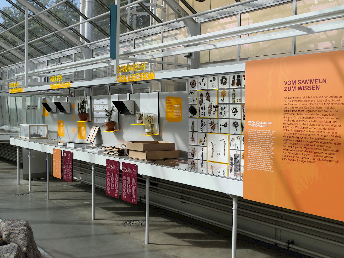 Blick+auf+die+Ausstellungsvitrine+zur+gegenw%c3%a4rtigen+wissenschaftlichen+Arbeitspraxis.+%c2%a9+Sukkulenten-Sammlung+Z%c3%bcrich