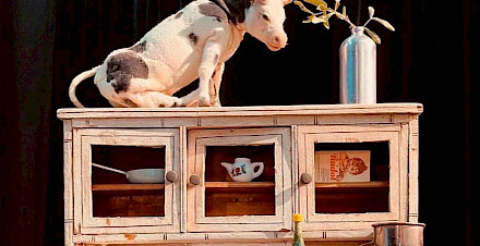 Theatre tips in April