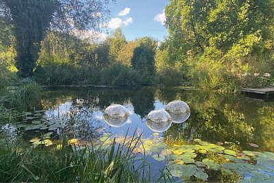 Hortus conclusus – in the garden of senses