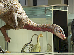 Dinosaurier+NMZ+10March2024+M2400722+Edit
