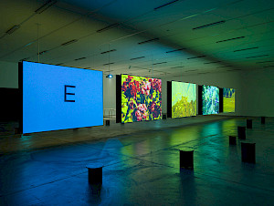 Rose+Lowder%2c+Bouquets%2c+Kunsthalle+Z%c3%bcrich%2c+2025.+Image%3a+Cedric+Mussano
