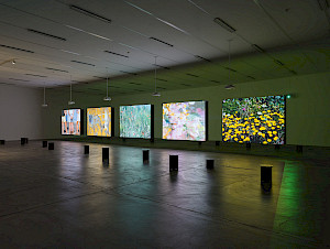 Rose+Lowder%2c+Bouquets%2c+Kunsthalle+Z%c3%bcrich%2c+2025.+Image%3a+Cedric+Mussano.