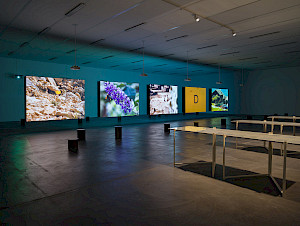 Rose+Lowder%2c+Bouquets%2c+Kunsthalle+Z%c3%bcrich%2c+2025.+Image%3a+Cedric+Mussano.