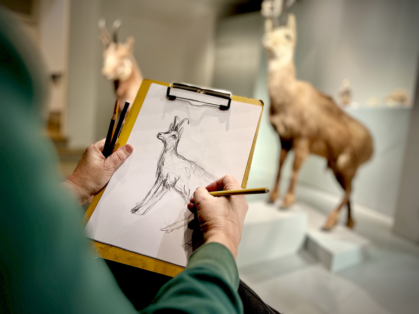 Open Drawing