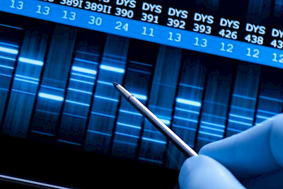 CRISPR-Cas: Präzision in der Evolution