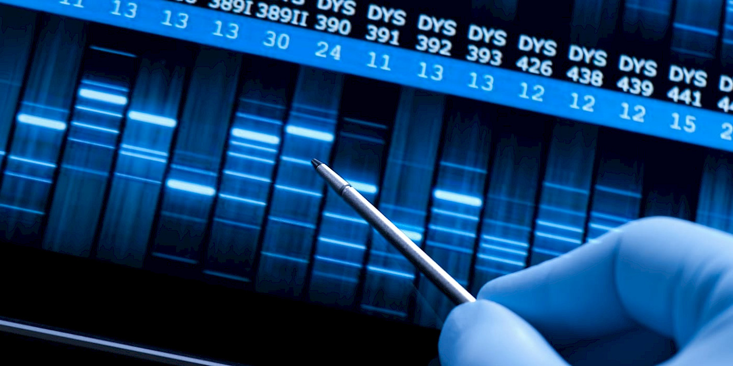 The Grammar of DNA