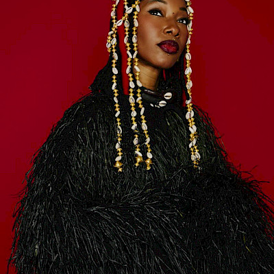 Flyer Fatoumata Diawara