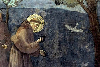 KiK: Der heilige Franziskus und Giottos Freskenzyklus in Assisi